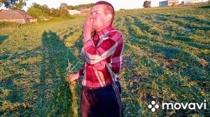 Уборка сена в деревне