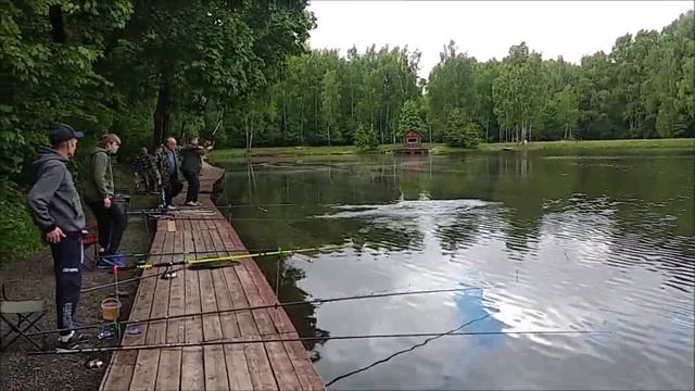 Многочисленные поимки осетра с ближней дистанции. Нижний Рыбалка в Клёвом месте на лосином острове. смотреть онлайн