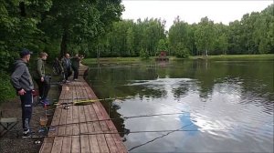 Многочисленные поимки осетра с ближней дистанции. Нижний Рыбалка в Клёвом месте на лосином острове.