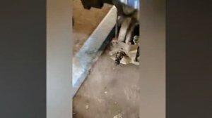 Прикол замена ступичного подшипника киа бонго