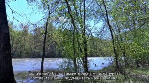 Пять лучших птиц для содержания в квартире