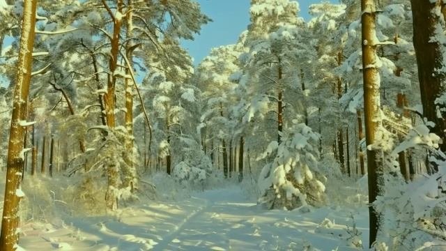 Пришла на могилу к мужу и увидела плачущую малышку. Узнала кто ее отец и потеряла дар речи...