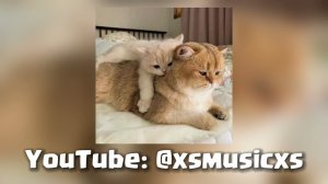 Музыка для флешмоба