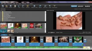Как работать в программе прошоу продюсер