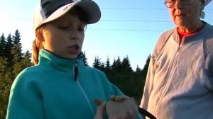 Камни для альпийской горки