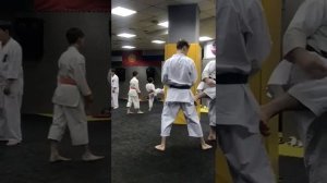 защита от удара ногой,, Йоко гери,,