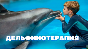Реабилитация — дельфинотерапия в Крыму
