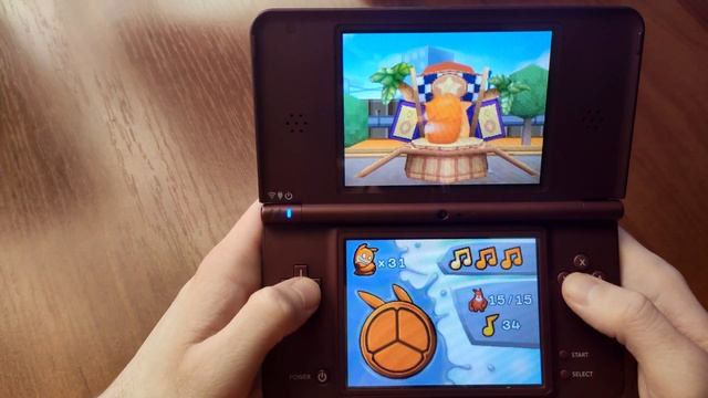 ЛУЧШИЕ ПЛАТФОРМЕРЫ ДЛЯ NINTENDO DS