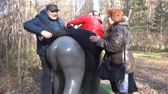 Битва со слоном в Новосибирском зоопарке смотреть онлайн