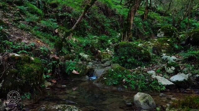 Расслабляющая музыка природы  для сна. смотреть онлайн