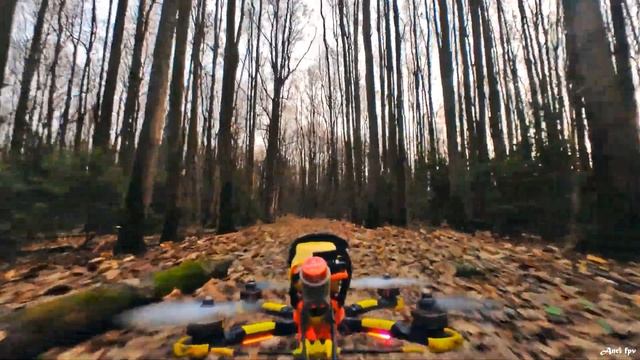 Осенний лес в лучах закатного солнца. FPV Drone.