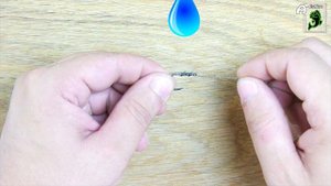 Как связать без узловой узел для ловли карпа? Волосяная оснастка.