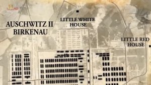 Освенцим Путешествие в Ад / Auschwitz Journey Into Hell (2013)