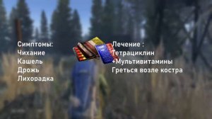 ВСЕ О БОЛЕЗНЯХ и их лечение в DAYZ Standalone