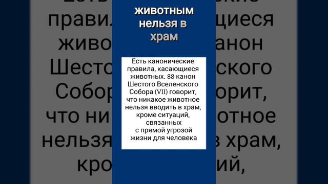 ЖИВОТНЫМ нельзя заходить в храм —2 декабря 2022 г.