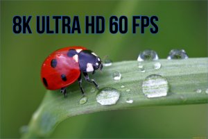 8K ULTRA HD 60 FPS • Relaxing Music