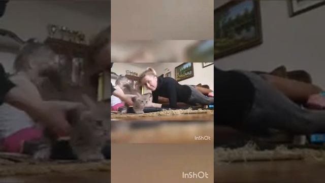 Гречишникова Евдокия Юрьевна