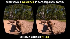 Невероятные VR-путешествия по дикой природе России