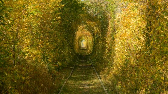 Окно в осень.mp4