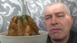 Что делать, если на кактусе появился коричневый налёт на кактусе? Кактус