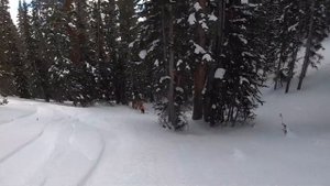 Snowboarding Aspen Highlands The Best Aspen Ski Resort!