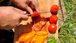 МЯСО С КАРТОШКОЙ|  и помидорами в казане! На природе. #оджахури