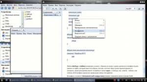 37 Создание мультизагрузочной флешки с системами Linux