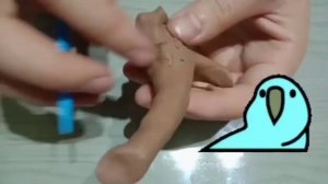 как слепить попугая из пластилина и как его лепить