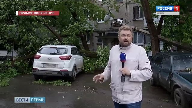 Ураган в Перми: поваленные деревья и оборванные провода смотреть онлайн