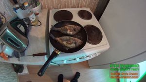 дорадо в сметане