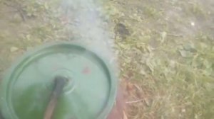 Варим кедровые шишки...Цыган..