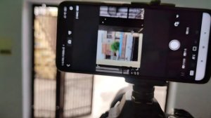 How to use smartphone as dslr monitor | Use your Smartphone as a DSLR Monitor | Cheap DSLR Monitor