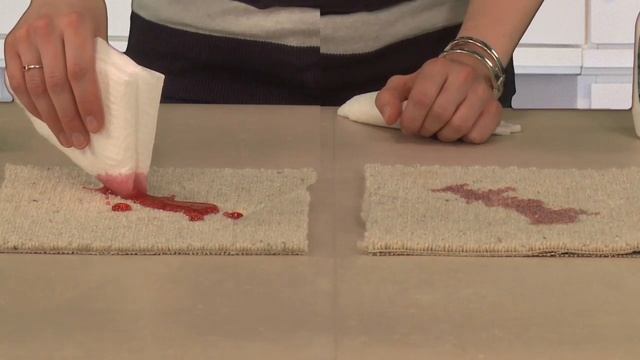 Expel Carpet Protector Cleaner Spray смотреть онлайн