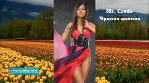 Mr. Credo - Чудная долина (cover) / Мистер Кредо - Wonderful Valley (кавер)