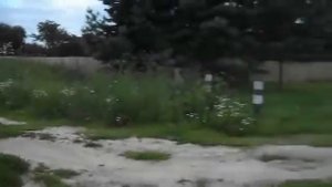 За Русь Святую я выпил стакан!