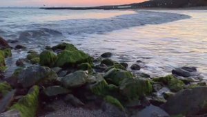 Возможно ли цунами в Черном море? Как накатывается волна на спящий берег