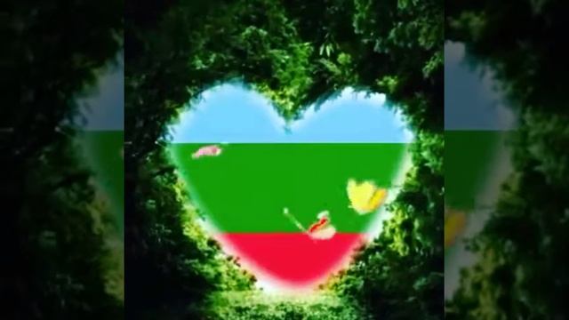 Дунганская флаг синий зелёный красный смотреть онлайн