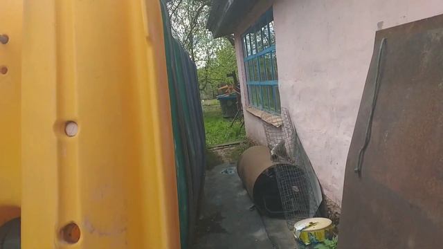 ЦЕНА НА МЯСО. ВЫГОДНО ДЕРЖАТЬ СВИНЕЙ. ОБЗОР. смотреть онлайн