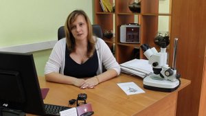 Что такое экспертиза.