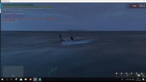 Я акула туруру Я акула туруру