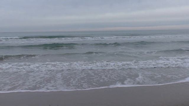 Анапа. Коты,лебеди, море и бегемоты. смотреть онлайн