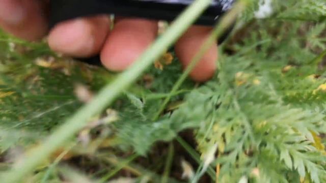 Полная настройка Xiaomi Mi Band 3 II Скрытые функции II Как включить Mi band 3 смотреть онлайн