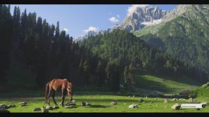 Коран сура Ан-Назиат видео 4к Миншави -Minshawiy