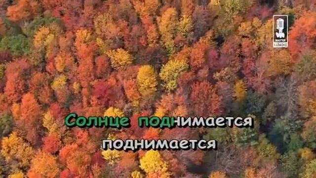 Детские   Здравствуй Детство
