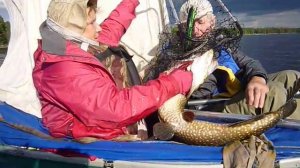 Рыбалка в Ковдозере. Июнь 2015