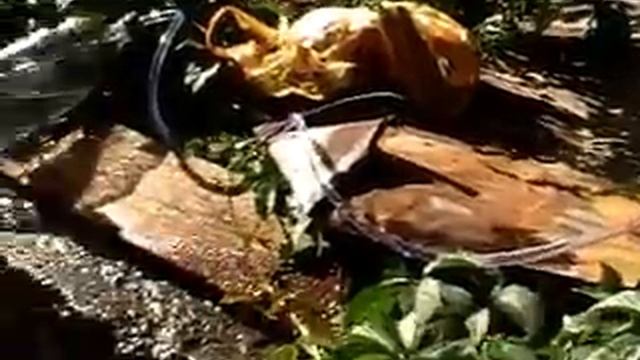 СОЛНЕЧНЫЙ ВОДЯНОЙ НАСОС ДВИГАТЕЛЬ СТИРЛИНГА SOLAR STIRLING ENGINE WATER PUMP ИГОРЬ БЕЛЕЦКИЙ смотреть онлайн