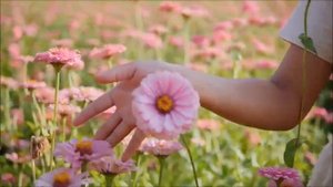 Виктор Давидзон # ТАНЕЦ ЦВЕТОВ # Вера и Геннадий Ковтун..
