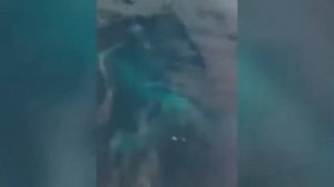 Рыбак поймал на удочку кита