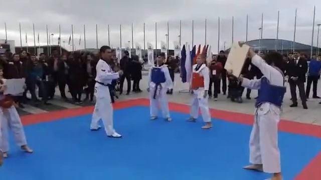 Показательные выступления тхэквондистов смотреть онлайн