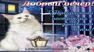 Увеличенное сердце на рентгене